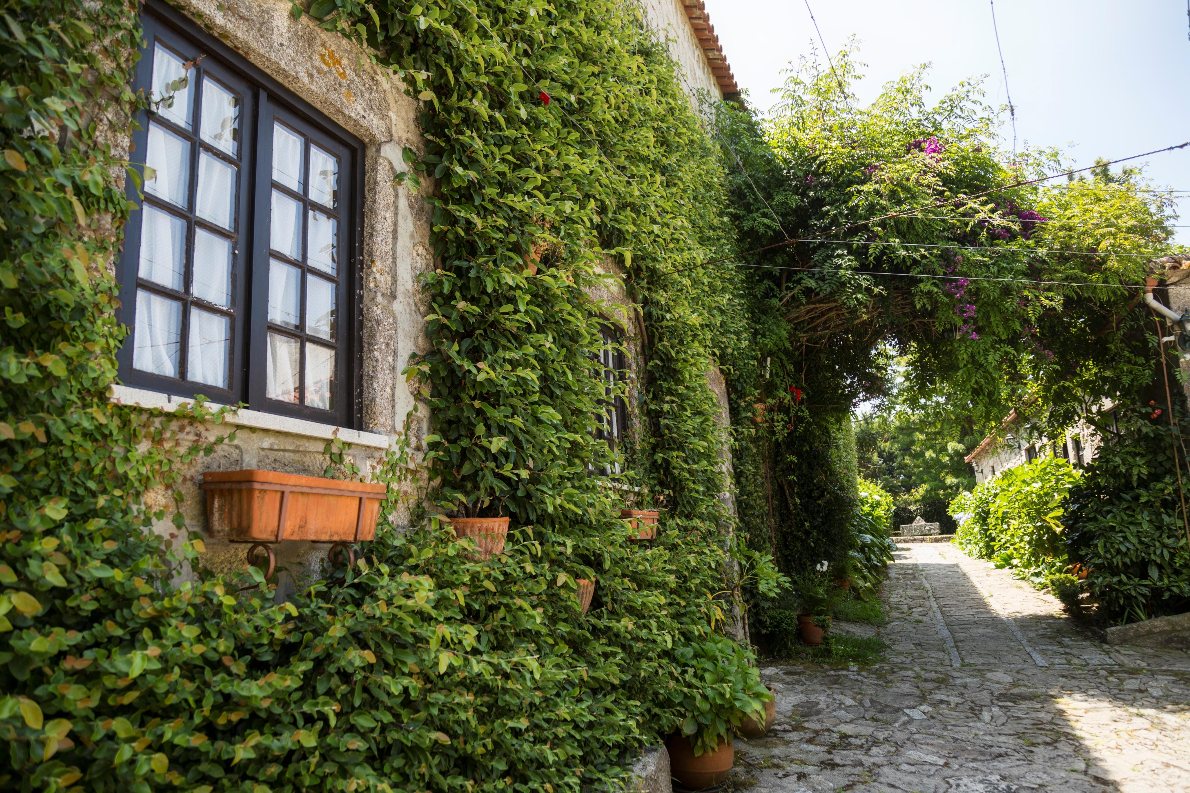 비아나도카스텔로 Casa Do Ameal B&B 외부 사진